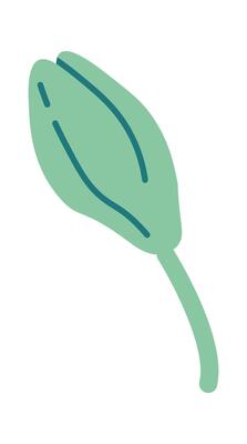 Sakura tree bud flat icon Spring tree Flat Illustration