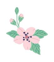 Blooming sakura flat icon Spring decorative tree Flat Illustration Icon vector