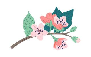 floreciente sakura plano icono primavera decorativo árbol plano ilustración mano dibujado icono vector