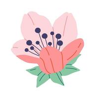 Flat Illustration Blooming sakura flat icon Spring decorative tree vector