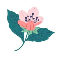 Illustration Blooming sakura flat icon Spring decorative tree vector
