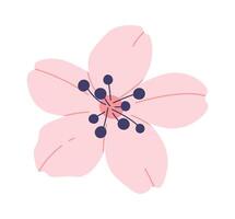 plano ilustración mano dibujado icono floreciente sakura plano icono primavera decorativo árbol vector