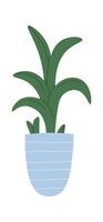 Houseplant in ceramic pot flat icon vector