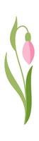 Snowdrop flower flat icon Bloom stem and leaves Flat Illustration Hand Drawn Icon vector