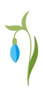 Snowdrop flower flat icon Bloom stem and leaves Drawn Icon vector