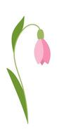 Flat Illustration Hand Drawn Icon Snowdrop flower flat icon Bloom stem and leaves vector