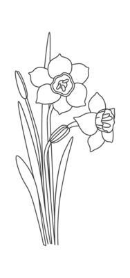 Spring flowers line art Contemporary floral design Flat Illustration