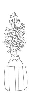 Spring flowers line art Contemporary floral design Drawn
