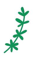 Hand drawn abstract plant branch flat icon vector