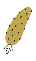 Abstract hand drawn cucumber flat icon vector