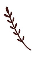 Abstract hand drawn rosemary flat icon vector