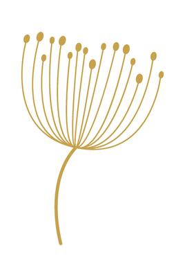 Dandelion flower line art Contemporary floral design Flat Illustration