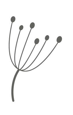 Dandelion flower line art Contemporary floral design Drawn Icon
