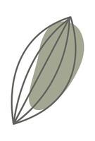 Leaf of dandelion line art with colorful spot background Icon vector