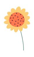 Sunflower flat icon Floral decor Wildflowers vector
