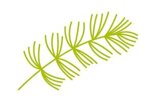 Wildflower decor element flat icon Flat Illustration vector