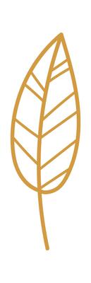 Hand drawn abstract leaf flat icon Spring floral design Illustration