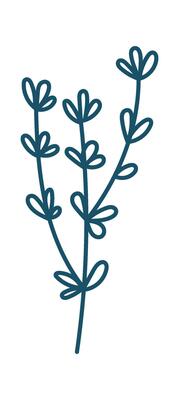 Illustration Hand drawn abstract plant branch flat icon Spring floral design