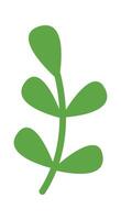 Cartoon hand drawn plant branch flat icon Spring decor vector