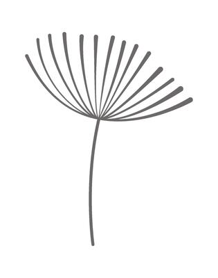 Dandelion fluffy flower flat icon Floral design Illustration