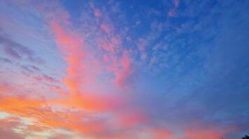 Tropical Sunset with Colorful Clouds and Palm Trees video