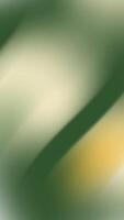 Yellow, white and green abstract background suitable for presentations, digital designs, web graphics, and minimalistic branding projects. video