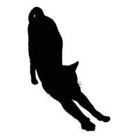 Silhouette of Jumping Cat Isolated on White Background vector