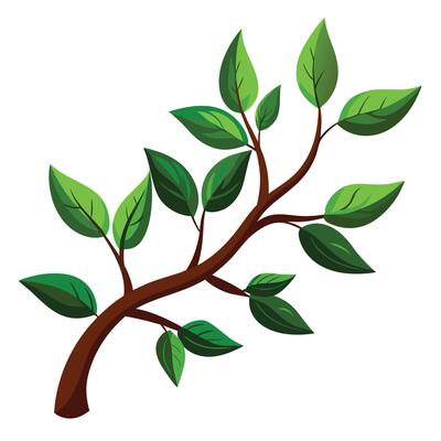 Green Tree Branch with Fresh Leaves, Nature Botanical Illustration, Spring Growth Symbol, Isolated Art Design on White Background, Eco-Friendly Concept