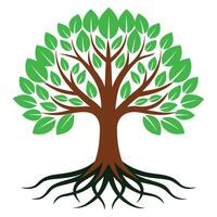 Green Tree with Roots and Leaves, Nature Growth Symbol, Environmental Conservation, Botanical Illustration, Isolated on White Background, Eco Friendly Design Art vector