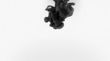 Black ink splash on white background video