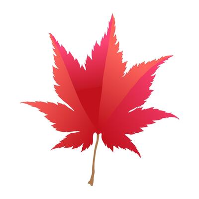 Hand drawn autumn colored red fall maple leaf isolated on white background. Flat style illustration.
