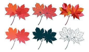 Set of hand-drawn fall colored red maple autumn leaves isolated on white background. Flat and line styles illustration. vector