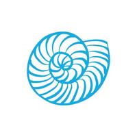 Round shell in doodle style. Sea snail shell. Twisted spiral shell. Hand drawn illustration isolated on white background. vector