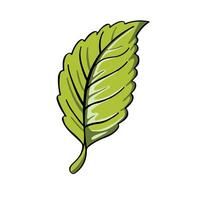 green tree leaf isolated illustration vector
