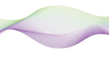 Green and Purple Abstract Wave Lines on White Background vector