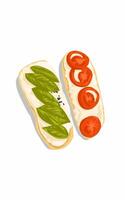 Delicious oval pizza filled with basil Leaves tomato slice chesse ketchup sauce vector