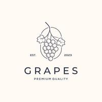 grape nutrition fruit line art logo minimalist illustration design, grapes fresh symbol design vector