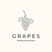 grape health fruit line art logo minimalist illustration design, grapes dessert logo design vector