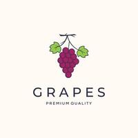 grape health nutrition vintage logo minimalist illustration design, fresh grapes fruit logo design vector