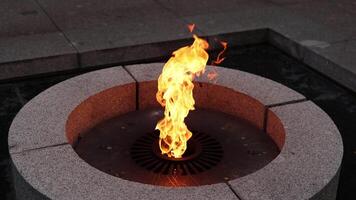 Captivating Flames in a Beautiful Modern Fire Pit for Your Outdoor Ambience and Comfort video