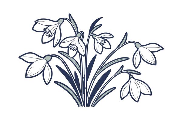 Simple line art bouquet snowdrops with navy blue outlines grey accents flower floral