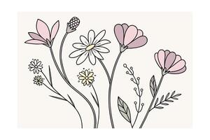 Delicate pastel wildflowers with outline on cream floral bloom vector