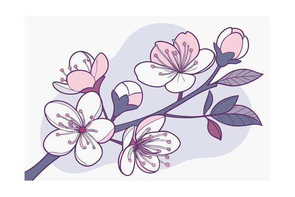 Delicate pink spring blossoms on a branch with purple outline flower floral