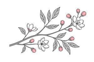 Delicate pink flower buds blossoms on grey branches nature vector