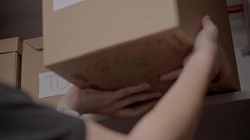 Woman places cardboard boxes labeled TOOLS and BICYCLE on wardrobe shelf video