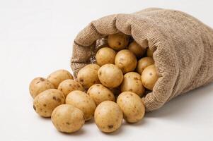 Farm-Fresh Brown Potatoes in Burlap Sack on White photo