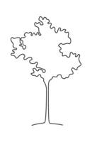 Drawing doodle tree in line art Flat Illustration Icon vector
