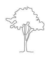 Illustration Drawing doodle tree in line art vector