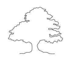 Flat Illustration Drawing doodle tree in line art vector