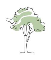 Flat Illustration Drawing doodle tree in line art on green blot background vector